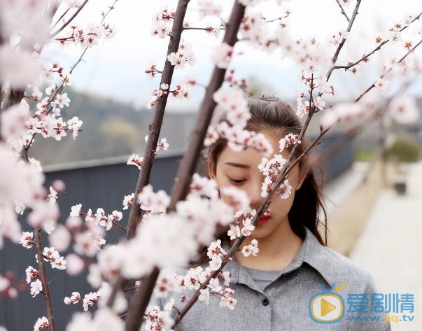 叶炫清唯美写真 叶炫清高清写真_叶炫清高清剧照