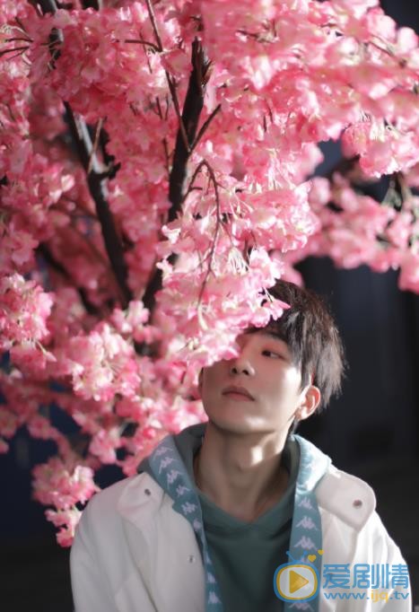 马思超樱花写真