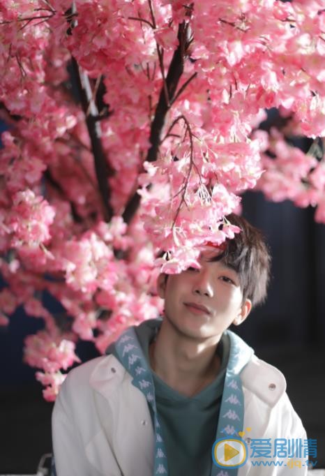 马思超樱花写真 马思超高清写真_马思超高清剧照