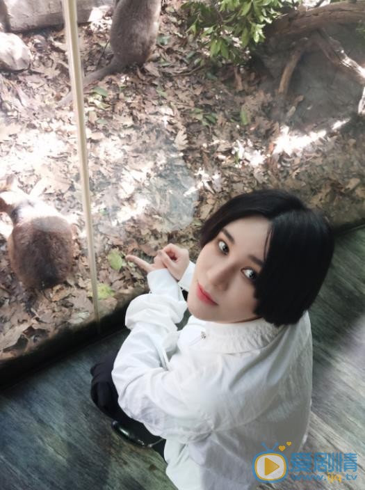 尚雯婕游客写真 尚雯婕高清写真_尚雯婕高清剧照