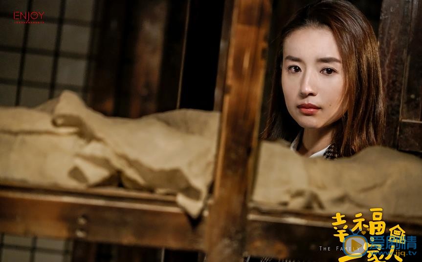 幸福一家人剧情介绍 幸福一家人海报