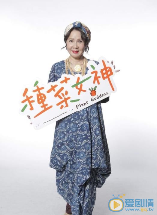 种菜女神林美照剧照 