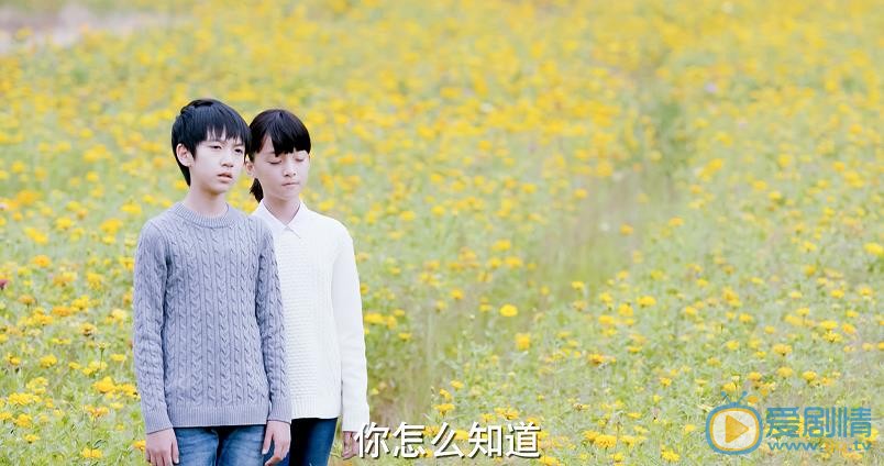 顾语涵凉生我们可不可以不忧伤剧照 顾语涵高清写真_顾语涵高清剧照