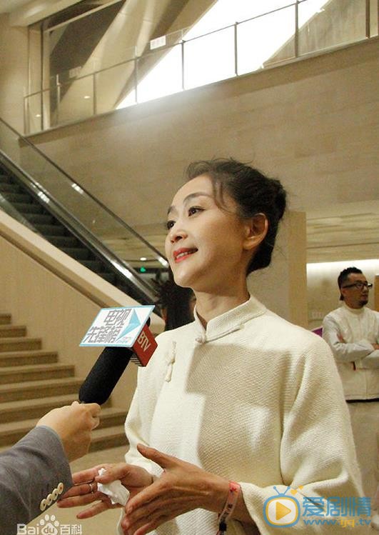 陈瑾活动照 陈瑾高清写真_陈瑾高清剧照