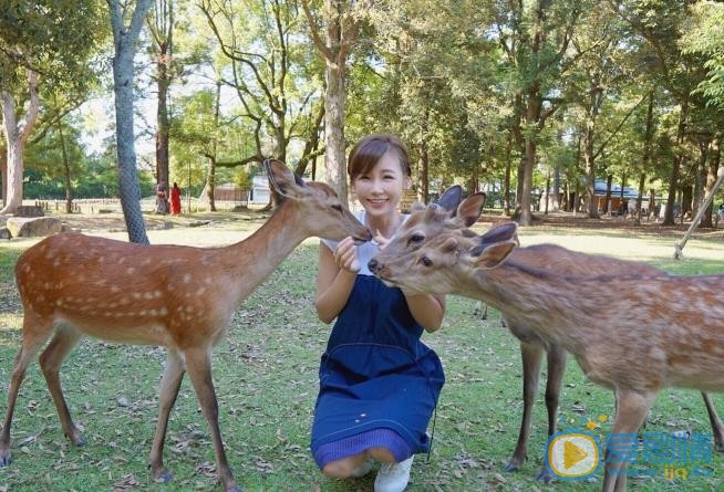 简淑儿游客照 简淑儿高清写真_简淑儿高清剧照