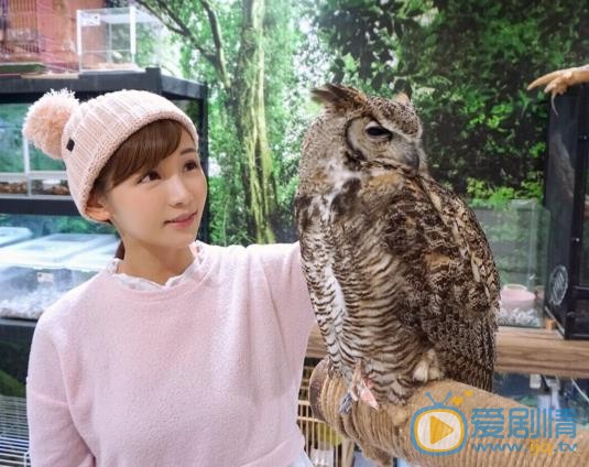 简淑儿游客照 简淑儿高清写真_简淑儿高清剧照
