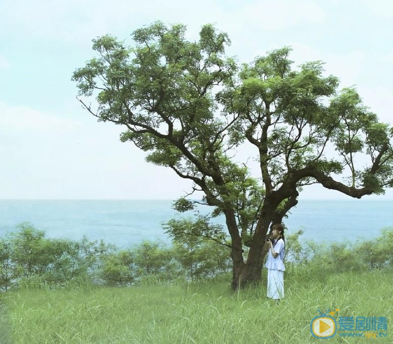简淑儿唯美写真 简淑儿高清写真_简淑儿高清剧照