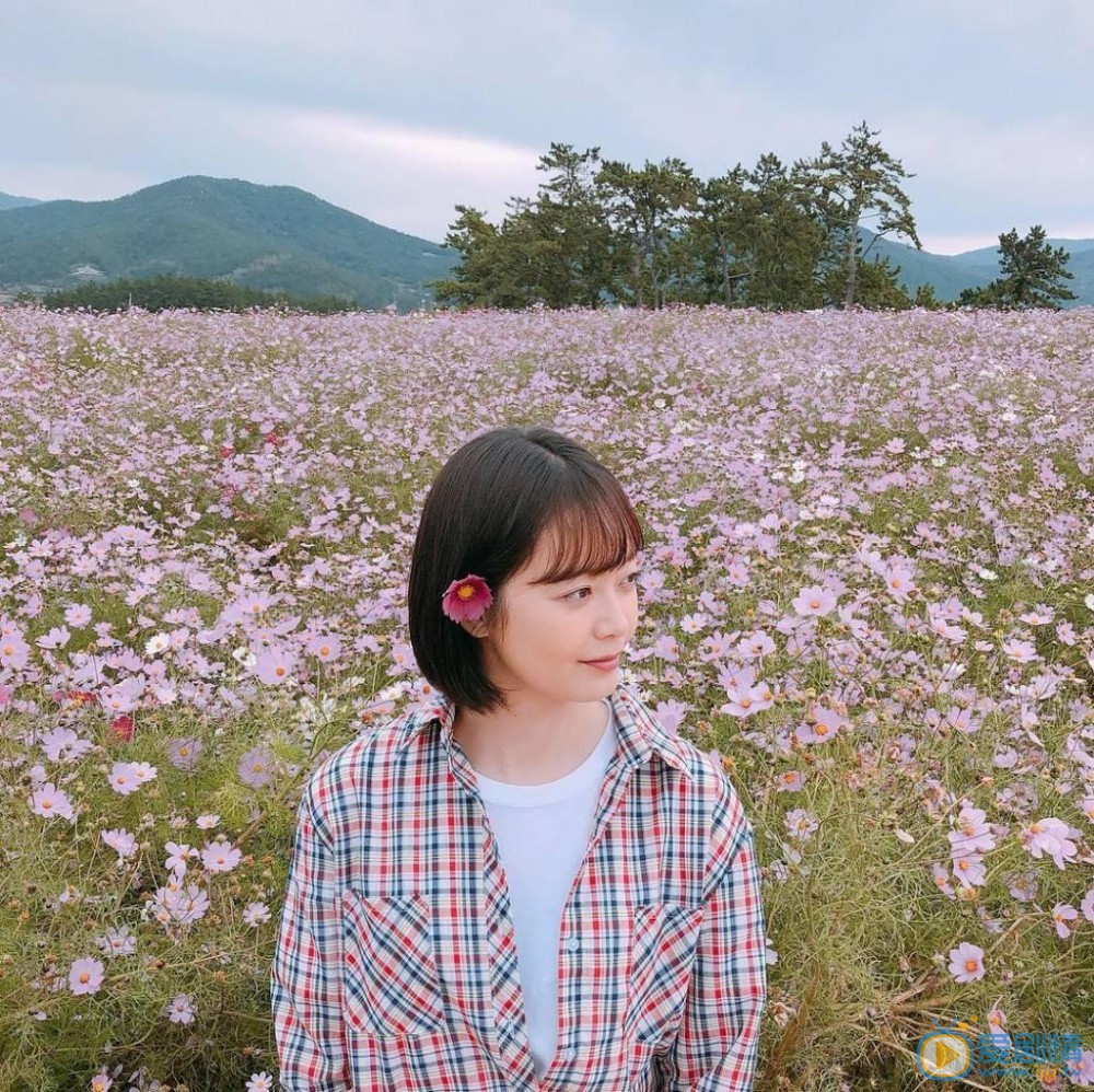 全昭旻巨星刘白理剧照 全昭旻高清写真_全昭旻高清剧照