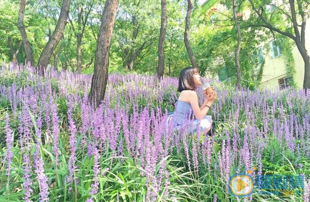 欧阳妮妮街拍写真 欧阳妮妮高清写真_欧阳妮妮高清剧照