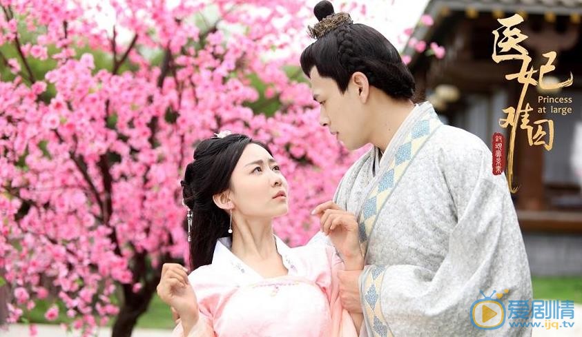 医妃难囚剧情介绍 医妃难囚剧照