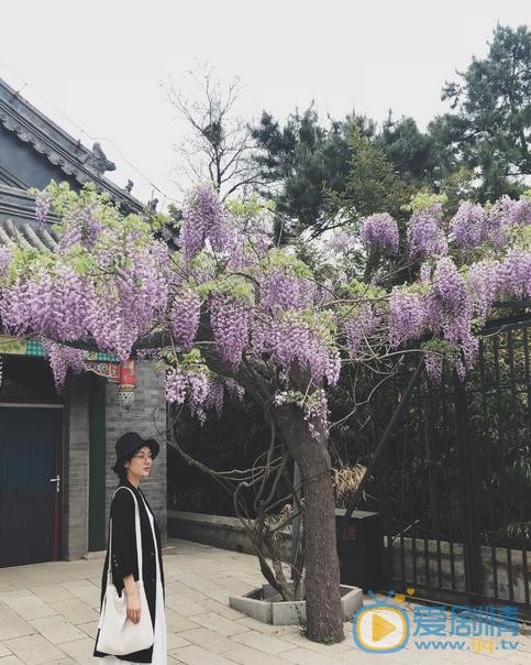 曹琦旅游照 曹琦高清写真_曹琦高清剧照