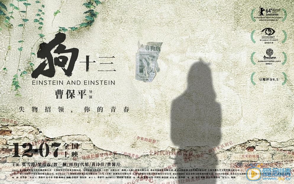 狗十三海报
