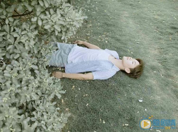 何善凯绿色写真 何善凯高清写真_何善凯高清剧照