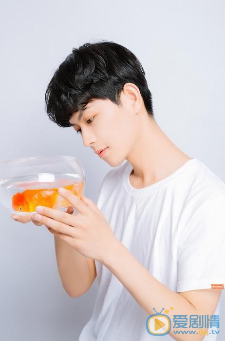何善凯向日葵写真 何善凯高清写真_何善凯高清剧照