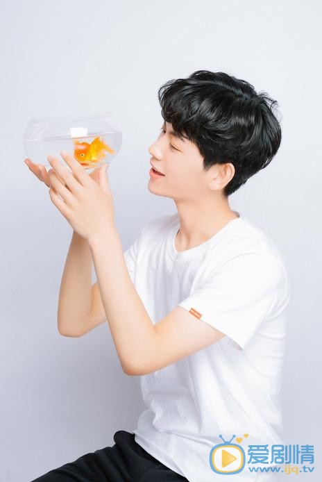 何善凯向日葵写真 何善凯高清写真_何善凯高清剧照