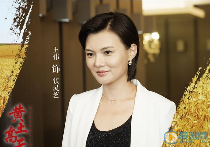 黄土高天国际药品展销会中国代表是谁？秦学安要见的泰斯商务代表代表是谁？