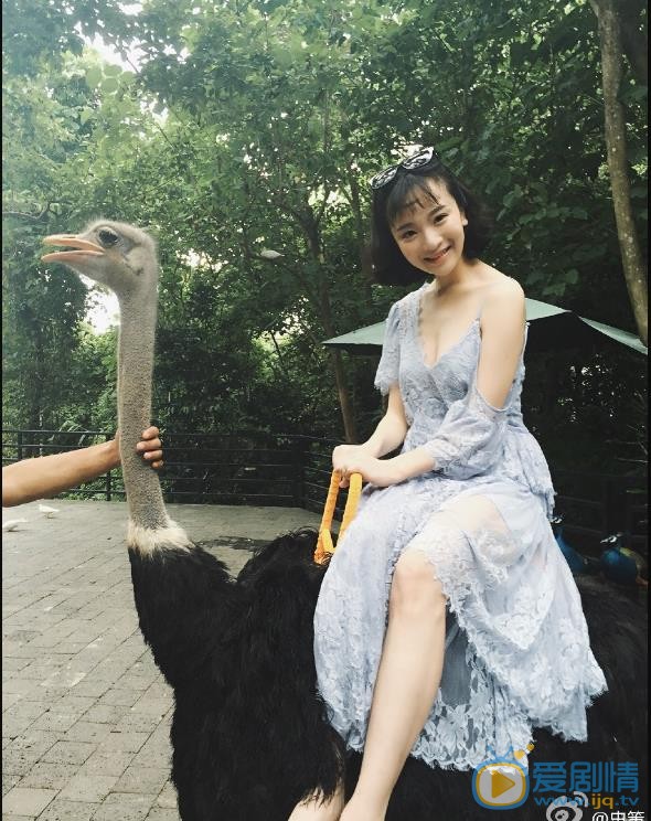 史策街拍写真 史策高清写真_史策高清剧照