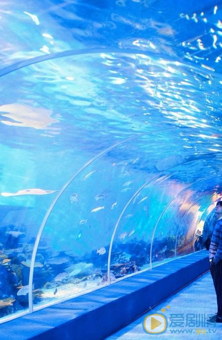 谷蓝帝海底写真 谷蓝帝高清写真_谷蓝帝高清剧照