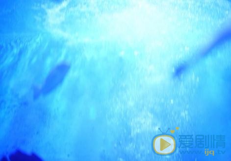 谷蓝帝海底写真 谷蓝帝高清写真_谷蓝帝高清剧照