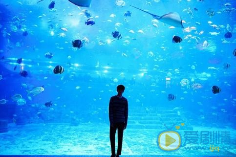 谷蓝帝海底写真 谷蓝帝高清写真_谷蓝帝高清剧照