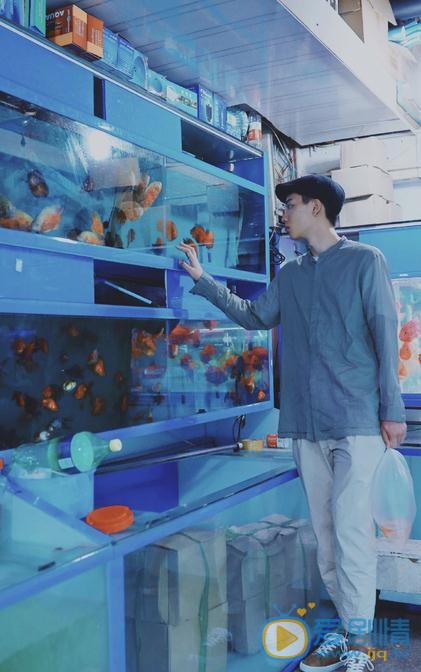 吴泽林鱼儿写真 吴泽林高清写真_吴泽林高清剧照