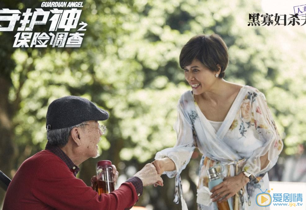守护神之保险调查剧情介绍(1-36集大结局)
