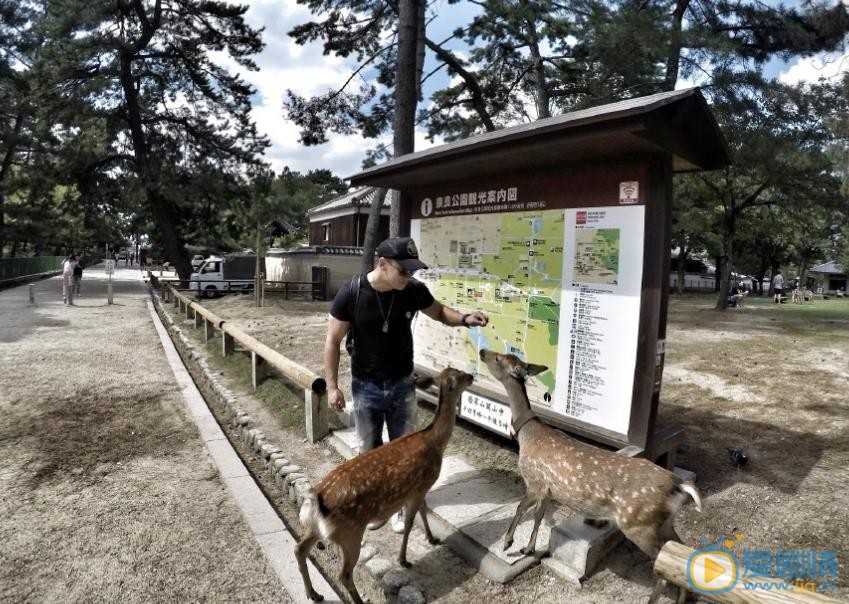 那家威生活照 那家威高清写真_那家威高清剧照