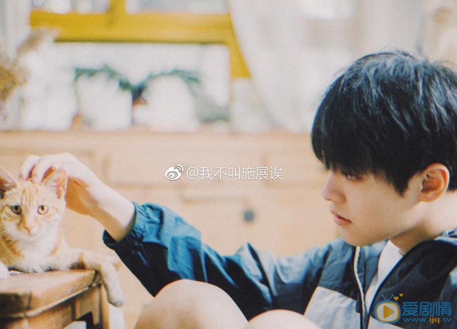 施展猫咪写真 施展高清写真_施展高清剧照