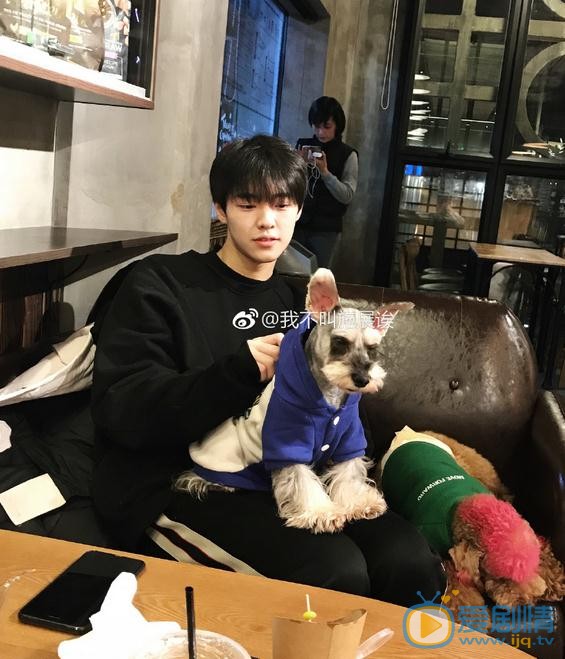 施展生活照 施展高清写真_施展高清剧照