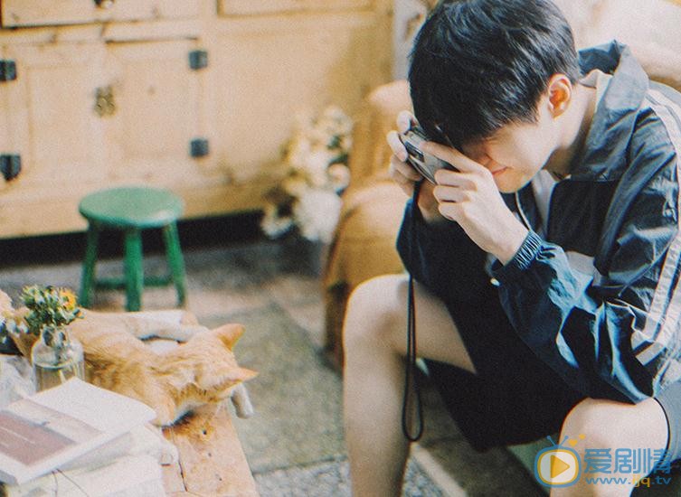 施展猫咪写真 施展高清写真_施展高清剧照