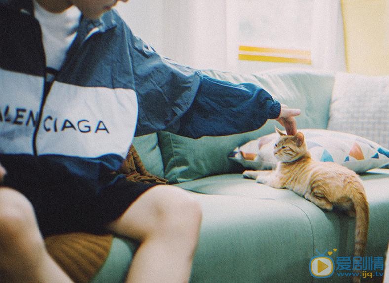 施展猫咪写真 施展高清写真_施展高清剧照