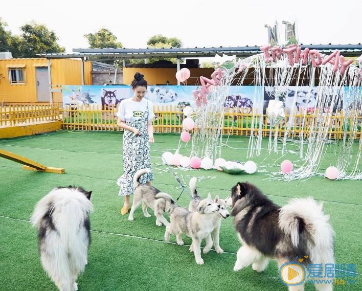 左岸潇宠物写真 左岸潇高清写真_左岸潇高清剧照
