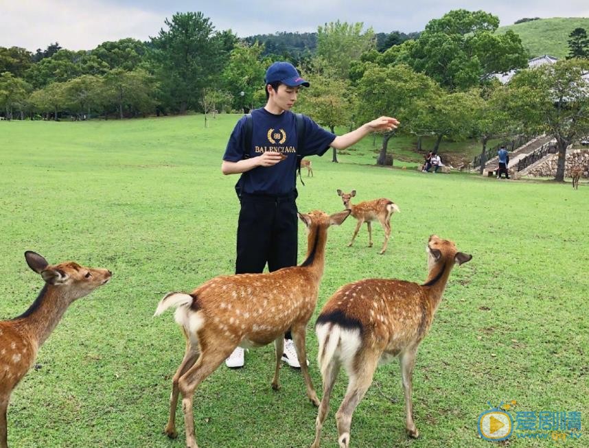 苑子文户外旅行照 苑子文高清写真_苑子文高清剧照