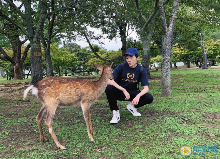苑子文户外旅行照 苑子文高清写真_苑子文高清剧照