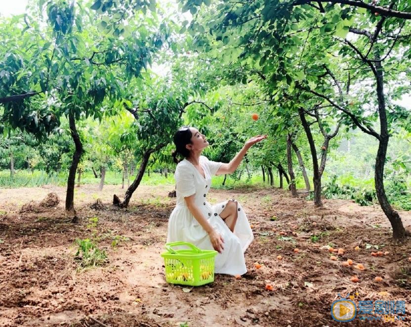 康璐洁清纯写真 康璐洁高清写真_康璐洁高清剧照