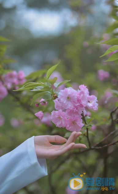 蒋芸绿色写真 蒋芸高清写真_蒋芸高清剧照