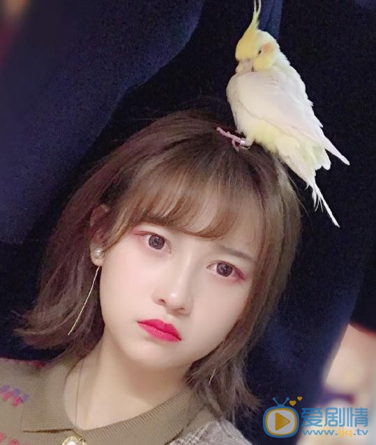 吕一可爱照 吕一高清写真_吕一高清剧照