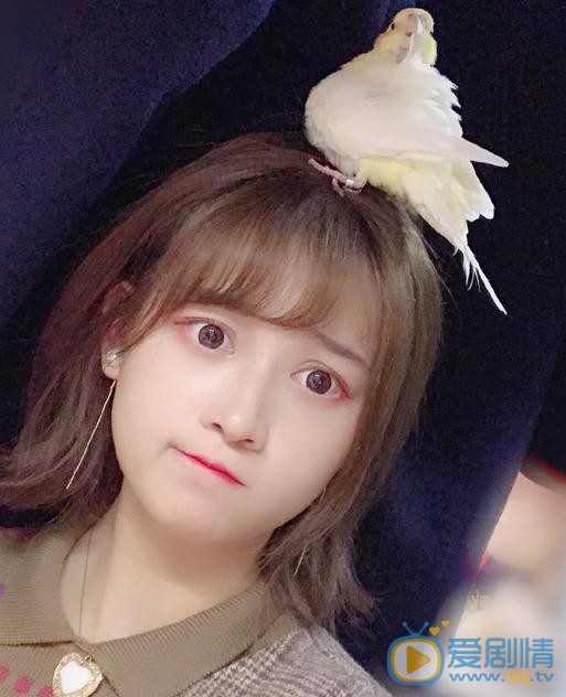 吕一可爱照 吕一高清写真_吕一高清剧照