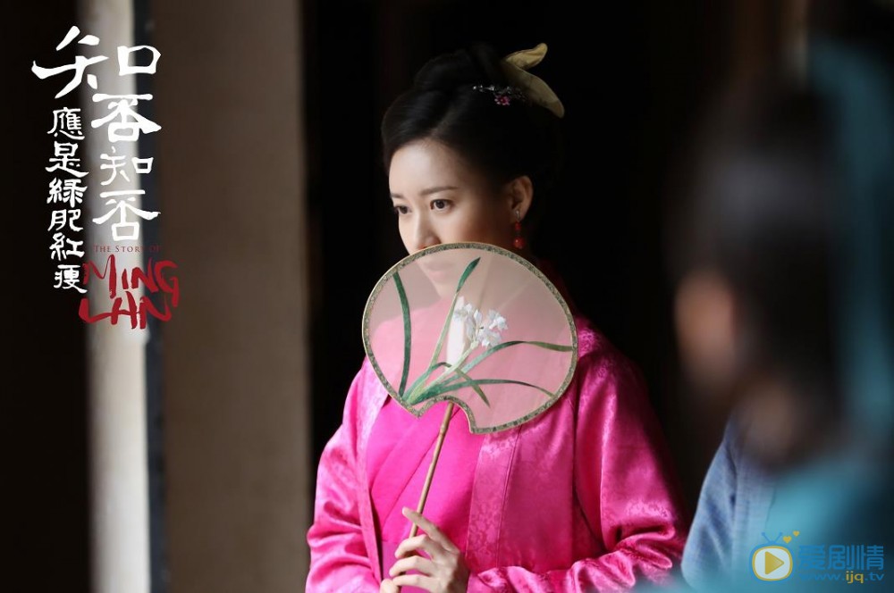 知否知否应是绿肥红瘦小蝶有没有偷盗卫娘子财务？小蝶有没有被打死？