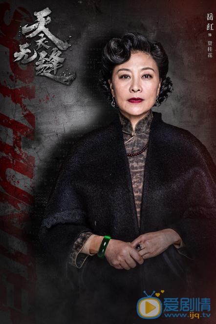 天衣无缝海报
