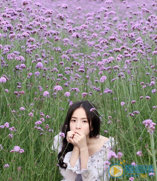 陈欣孺气质写真 陈欣孺高清写真_陈欣孺高清剧照