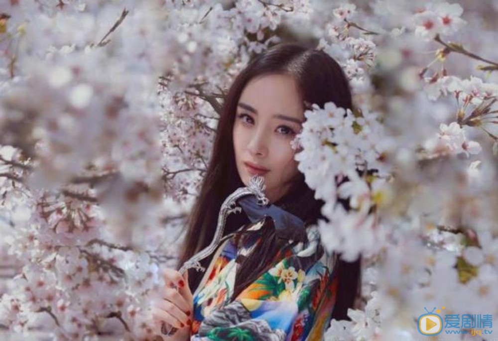 杨幂个人写真 杨幂高清写真_杨幂高清剧照
