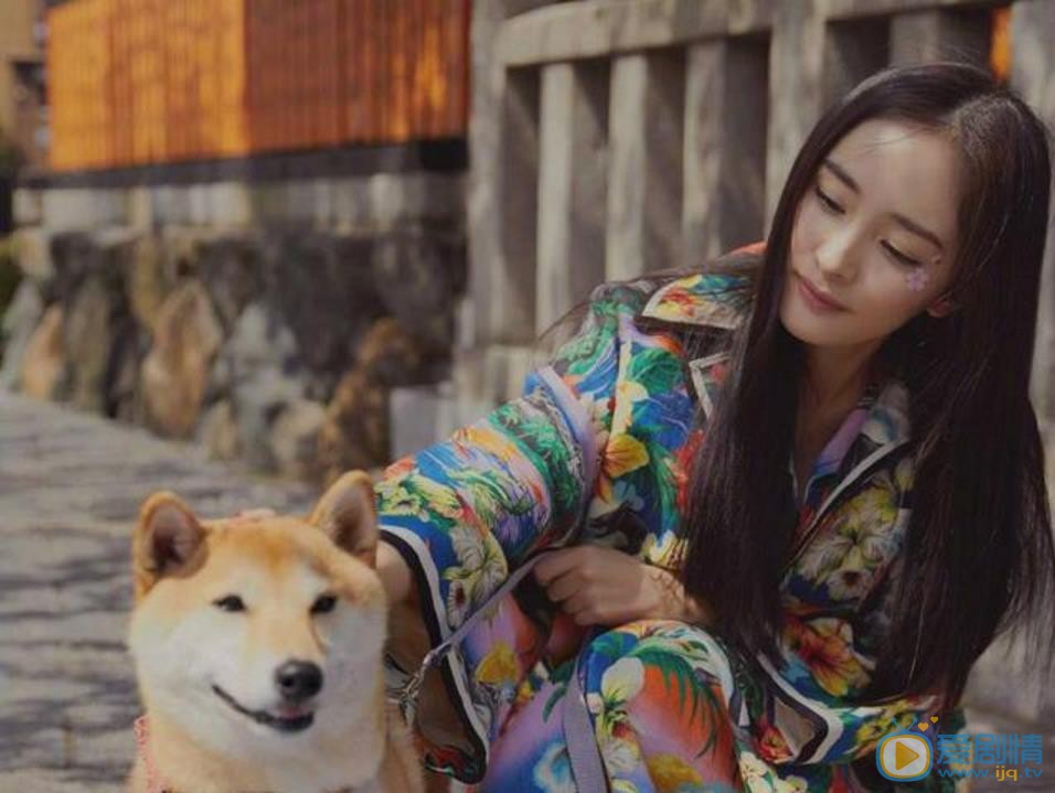 杨幂个人写真 杨幂高清写真_杨幂高清剧照