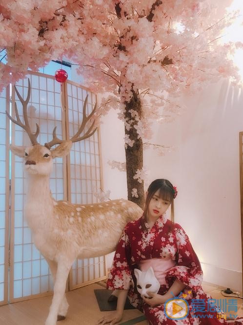 张瑜纹和服照 张瑜纹高清写真_张瑜纹高清剧照