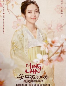 知否知否应是绿肥红瘦盛如兰有没有嫁给小公爷齐衡吗？盛如兰齐衡有没有在一起？