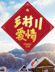 乡村爱情11