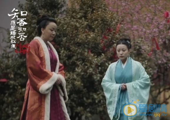 知否知否应是绿肥红瘦黑衣人是谁？是谁要杀盛明兰儿子？