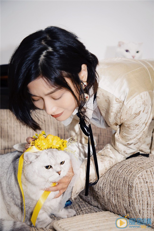 田沅性感时尚写真图片 田沅高清写真_田沅高清剧照