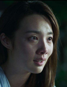 破冰行动蔡小玲死前为何让陈珂到塔寨？林宗辉为什么要去祠堂下跪？
