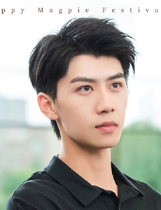 我的盖世英雄李涛扮演者是谁？李涛与张声最后有在一起吗？